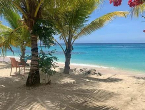 The Art Studio 12 Beachfront Apartment Barbados